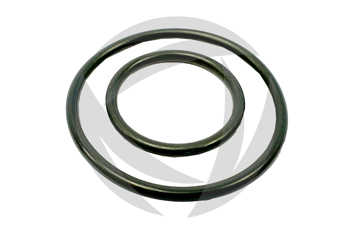 Dichtsatz Gasfilter DN25