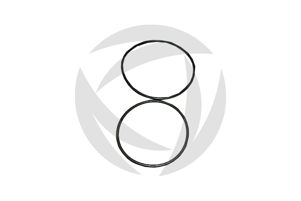 Dichtsatz Gasfilter DN 100