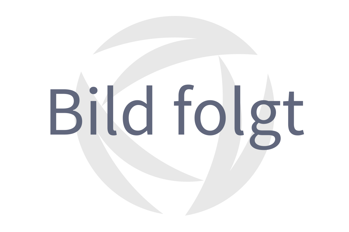 Temperaturfühler vor ATL E 28..