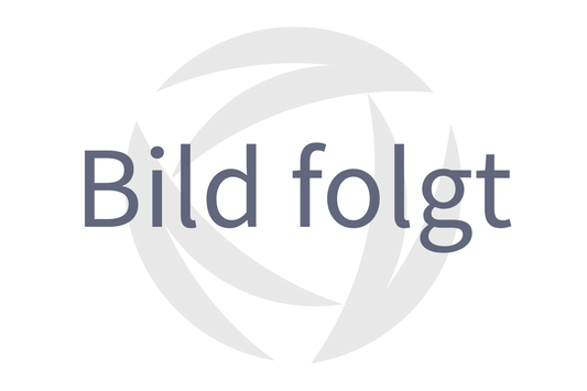 Temperaturfühler vor ATL E 28..